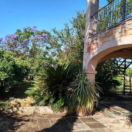 Lujosa Casa Mallorquina Restaurada Ses Salines  Εξωτερικό φωτογραφία