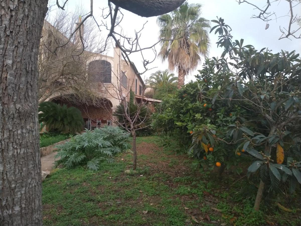 Lujosa Casa Mallorquina Restaurada Ses Salines  Εξωτερικό φωτογραφία