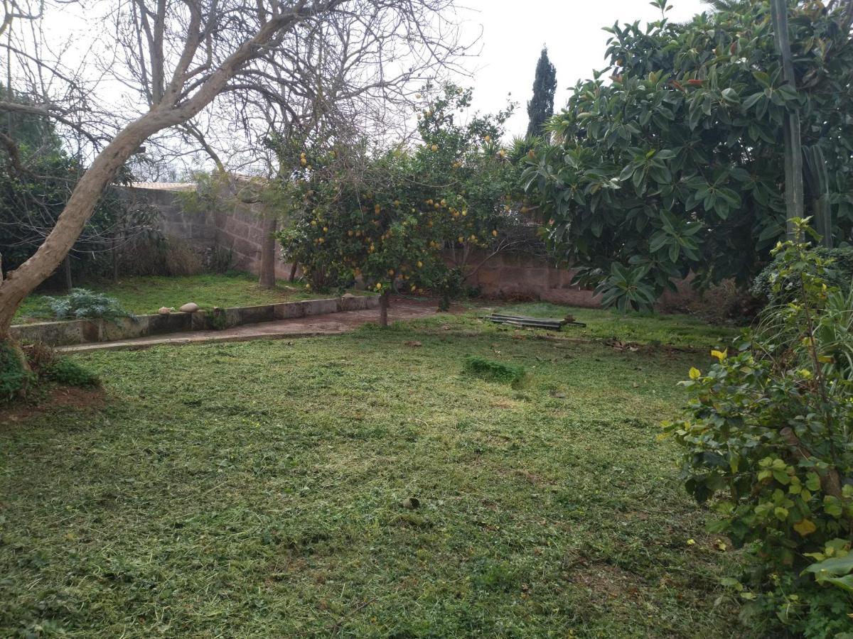 Lujosa Casa Mallorquina Restaurada Ses Salines  Εξωτερικό φωτογραφία